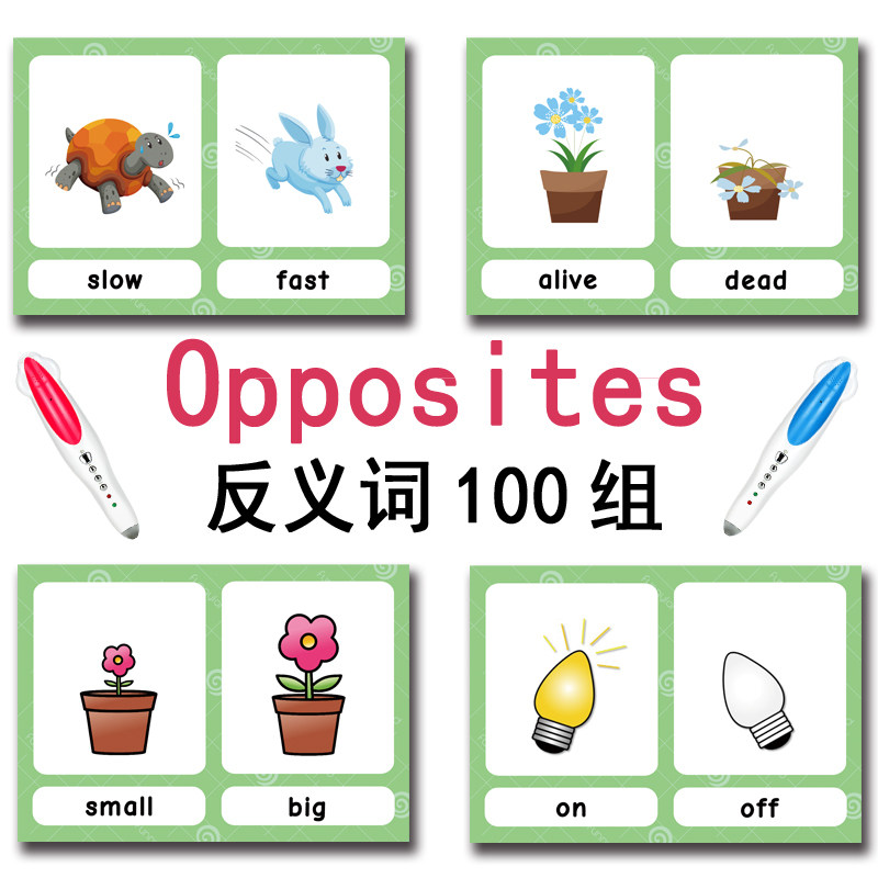 The 100 Groups Opposites Flash - đánh giá và giá Kids Education Things