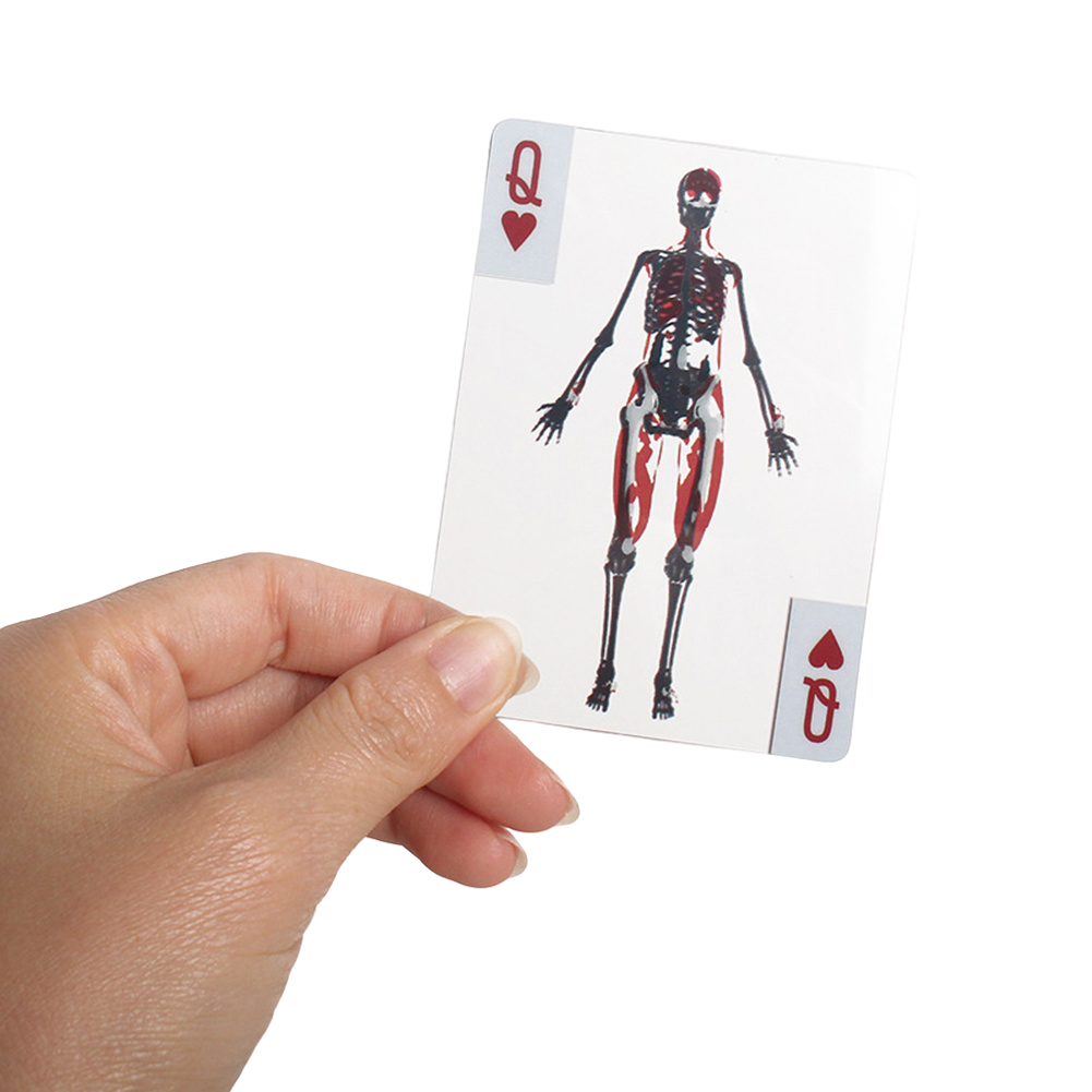 3D Image Educational Cards Wea - đánh giá và giá Kids Education Images