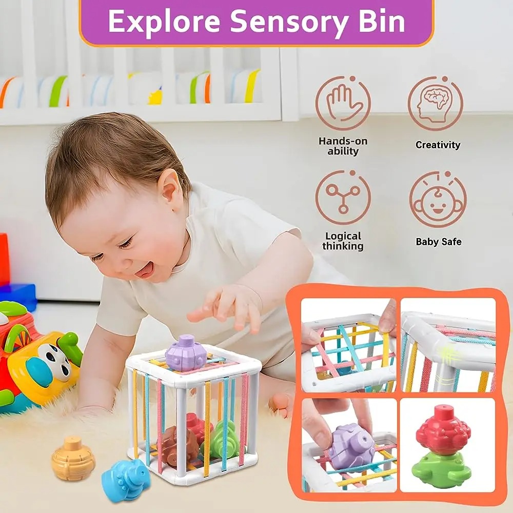 Rainbow Colorful Montessori Sh - đánh giá và giá Kids Education Things