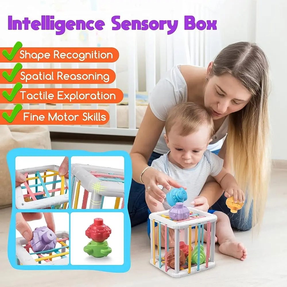 Rainbow Colorful Montessori Sh - đánh giá và giá Kids Education Things